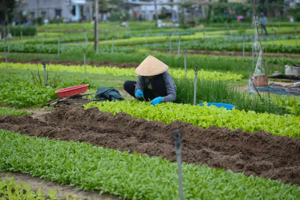 Kho phân bón, vật tư